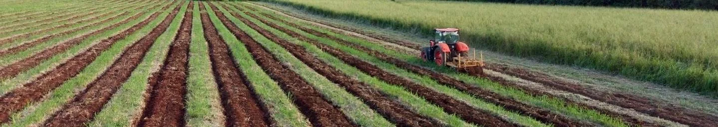Cane ground in Douglas Shire turned into fresh planting rows, a tractor working the far end