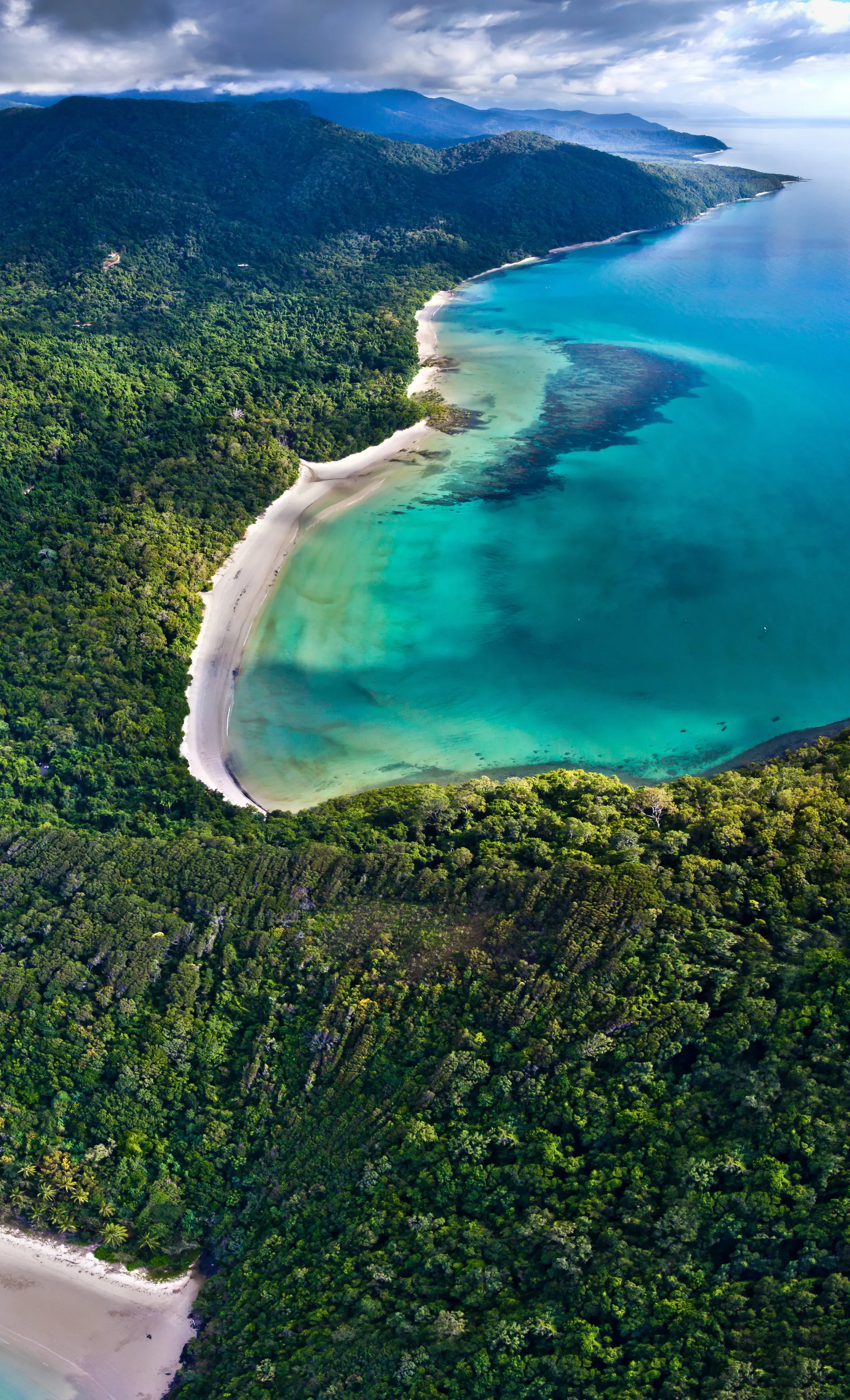 Panoramic view of integrated land operations in the Wet Tropics